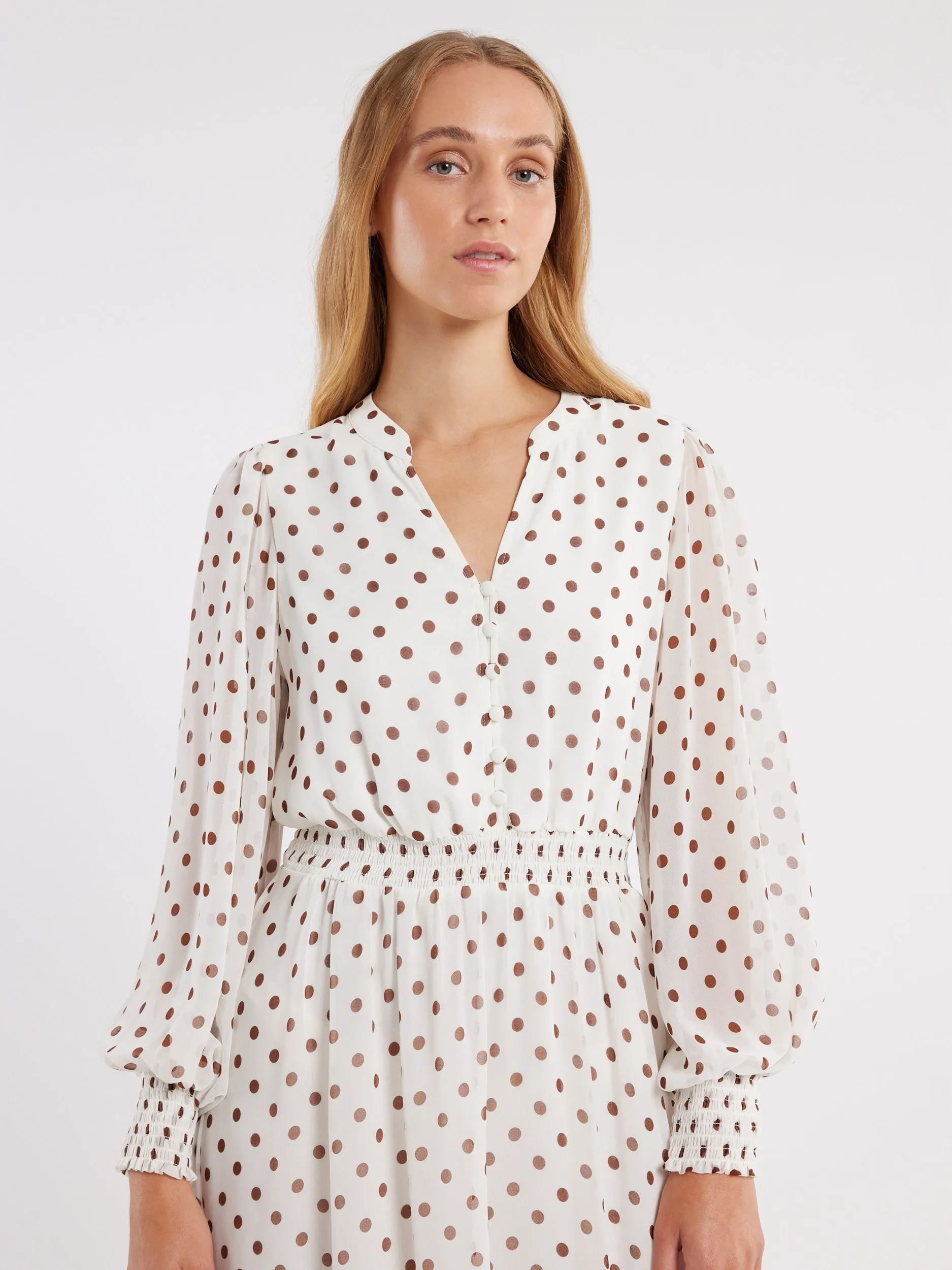 Zoro Spot Dress